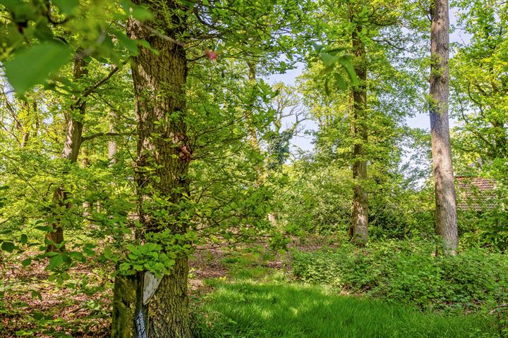 Bekijk foto 41 van Rijssenseweg 24