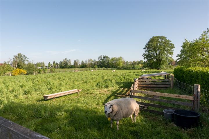 Bekijk foto 49 van Oude Winterswijkseweg 11