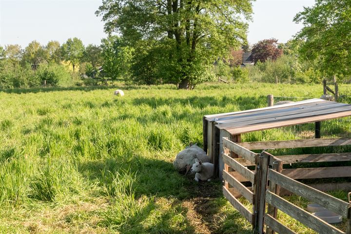 Bekijk foto 50 van Oude Winterswijkseweg 11