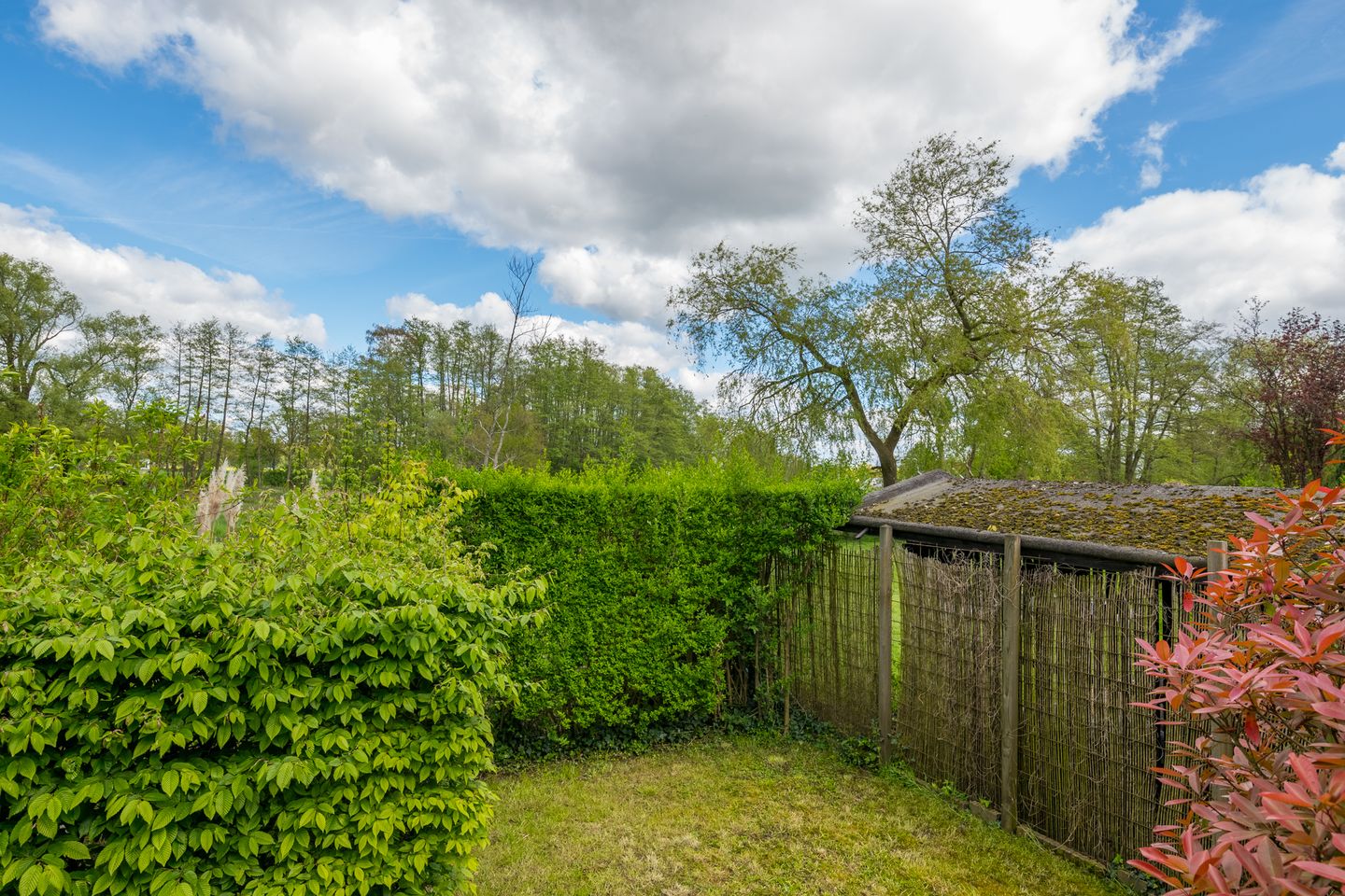 Photo 49 of Corleseweg 10-A