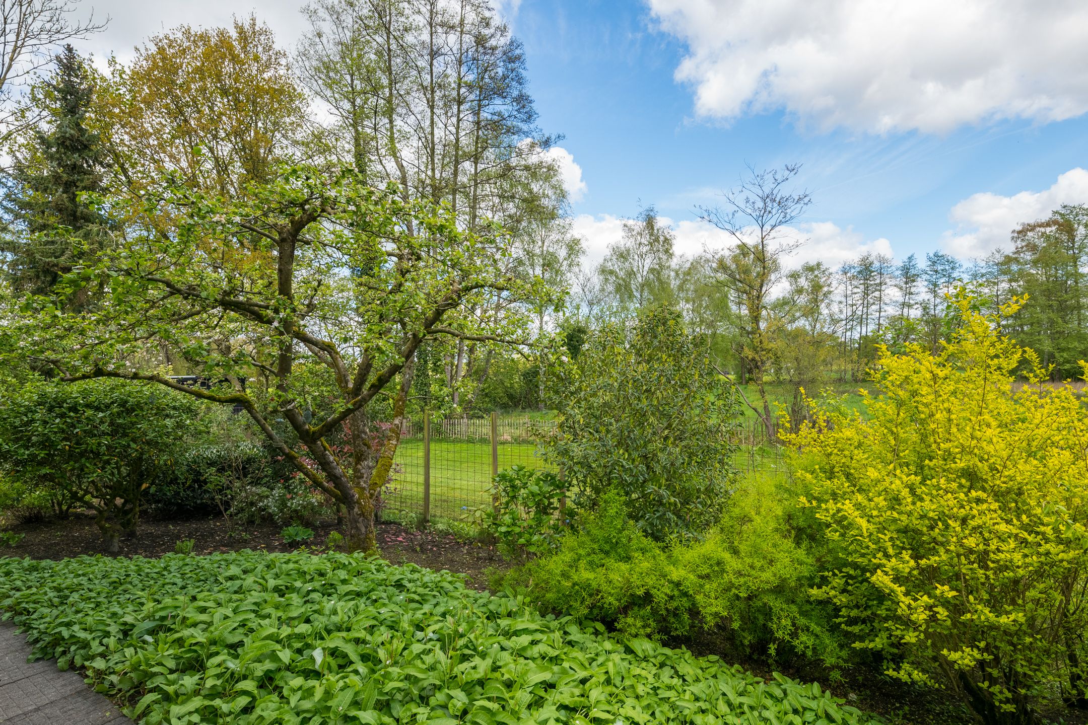 Photo 48 of Corleseweg 10-A