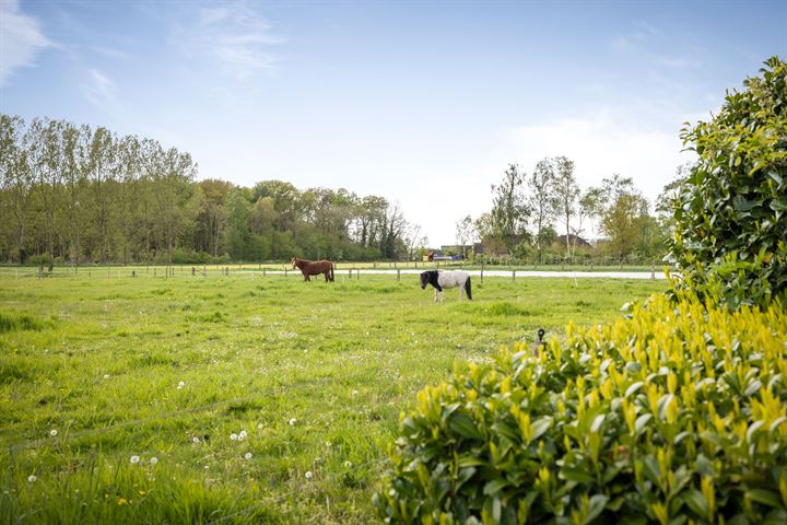 Bekijk foto 37 van Voordersteeg 8