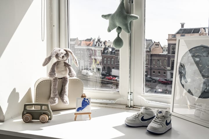 Foto 31 van Spaarne 38-B