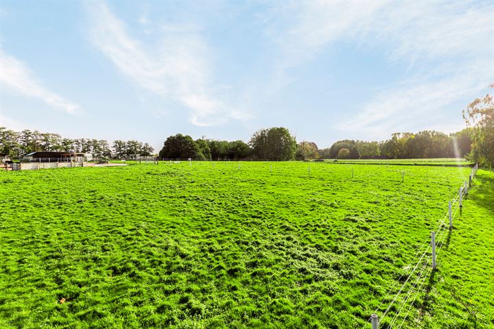 Bekijk foto 3 van Kannewielseweg 16