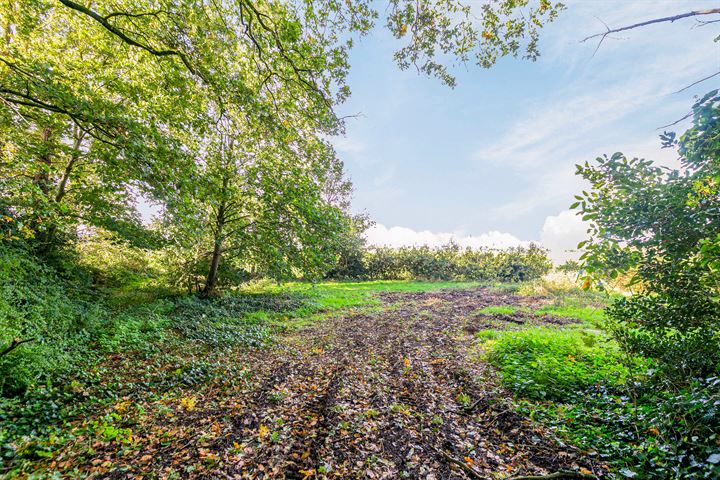 Bekijk foto 49 van Kannewielseweg 16