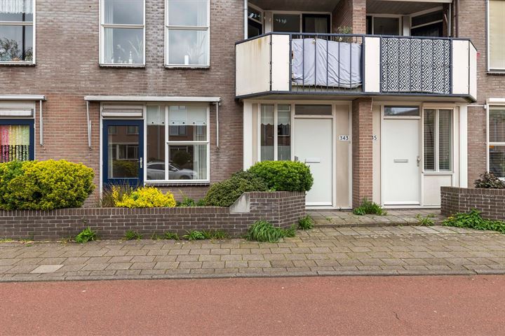 Bekijk foto 20 van Wilhelmina Druckerstraat 343