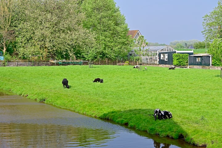 Bekijk foto 33 van Anemoonlaan 37