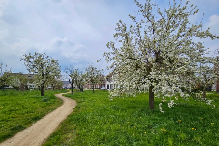 Bekijk foto 35 van Anemoonlaan 37