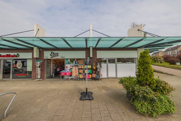 Ina Boudier-Bakkerstraat 3, Leiden