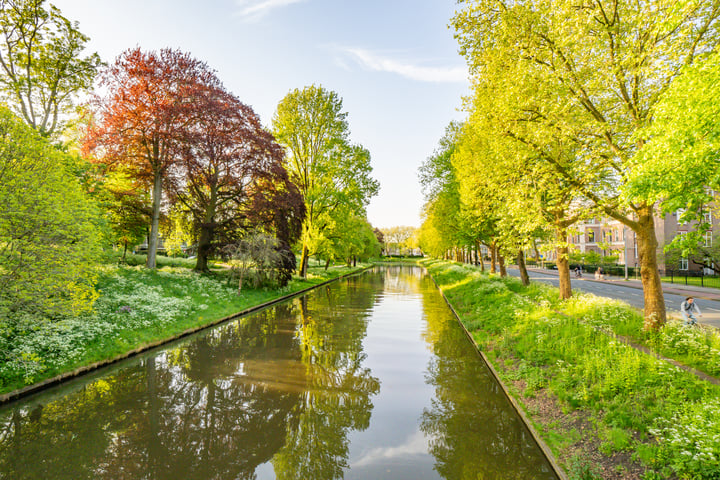 Bekijk foto 45 van Oudegracht 401-AG