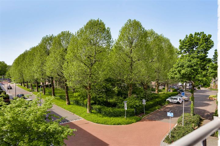 Bekijk foto 13 van Wilhelminaplein 19