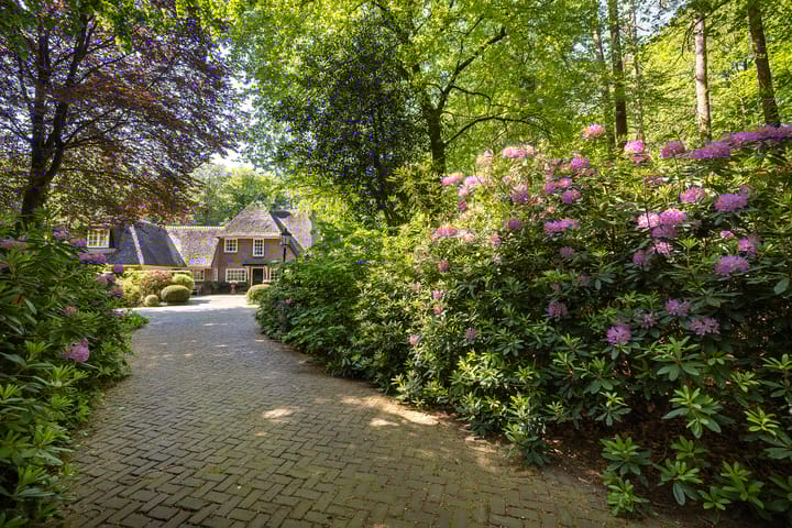 Foto 2 van Belvédèreweg 4