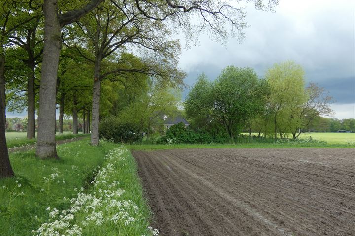 Bekijk foto 20 van Koninksweg