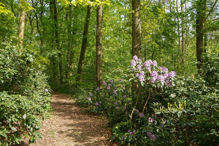 Bekijk foto 70 van Christoffelweg 6