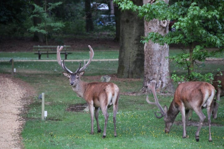 Bekijk foto 3 van Badhuislaan 63