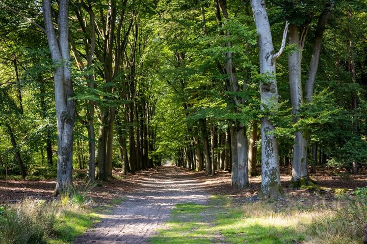 Bekijk foto 38 van Badhuislaan 63