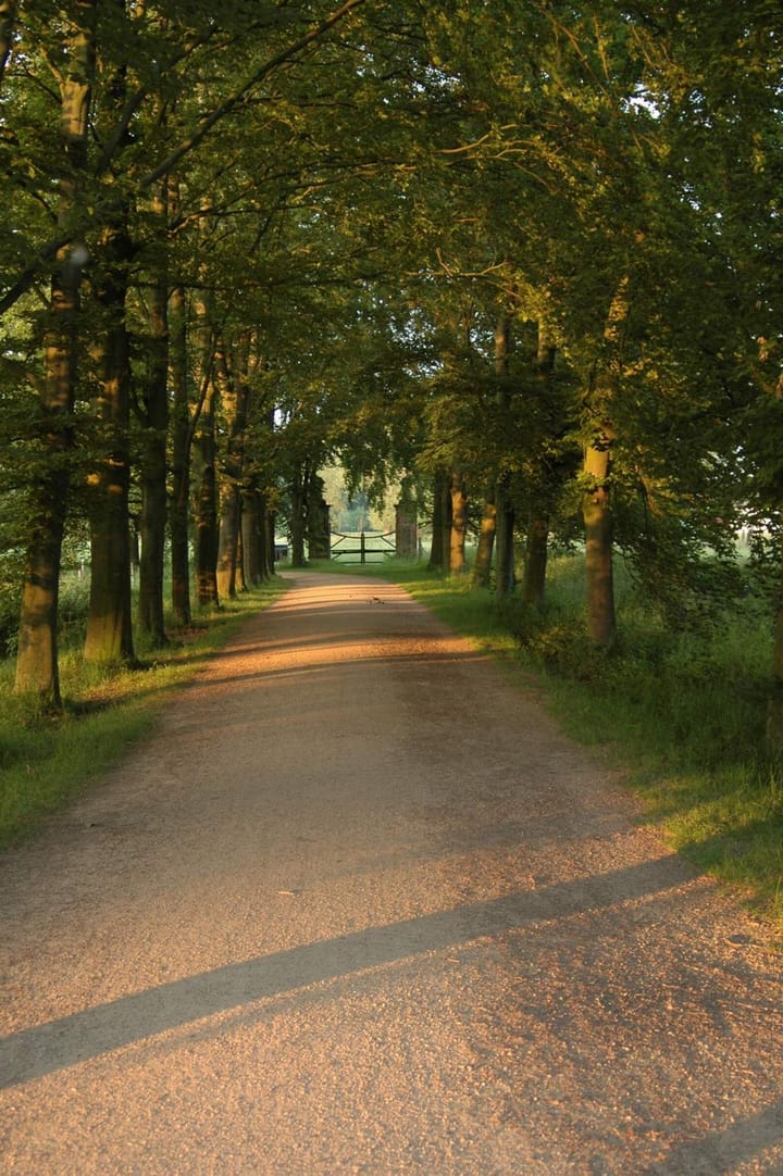 Photo 6 of Oud-Valkenburg 7