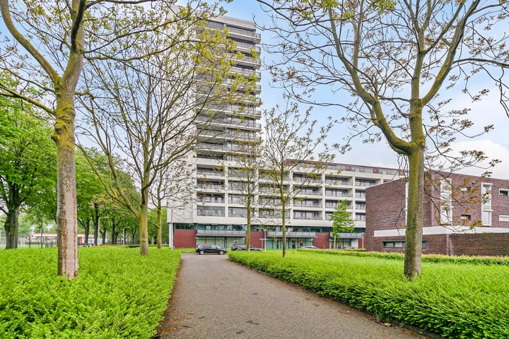 Bekijk foto 40 van Ringbaan-Zuid 214