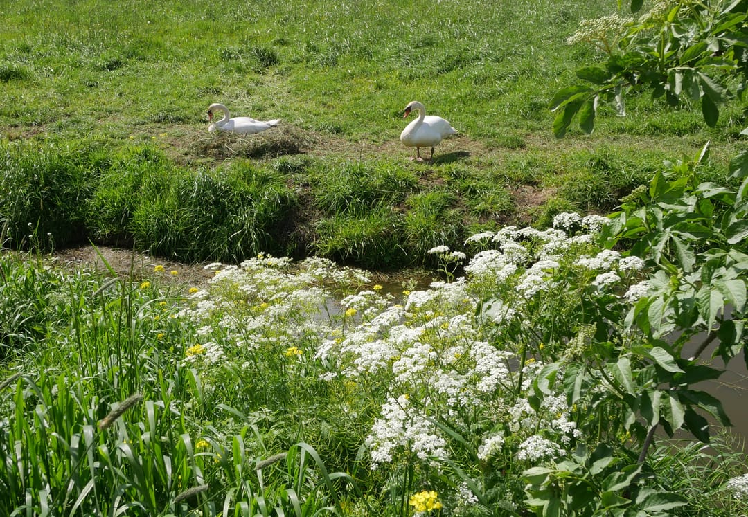 Foto 17 van Oudkerkseweg 3-A