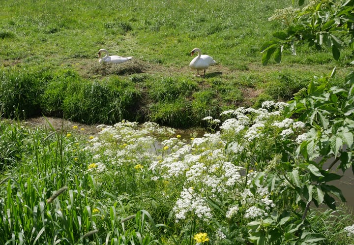 Foto 17 van Oudkerkseweg 3-A
