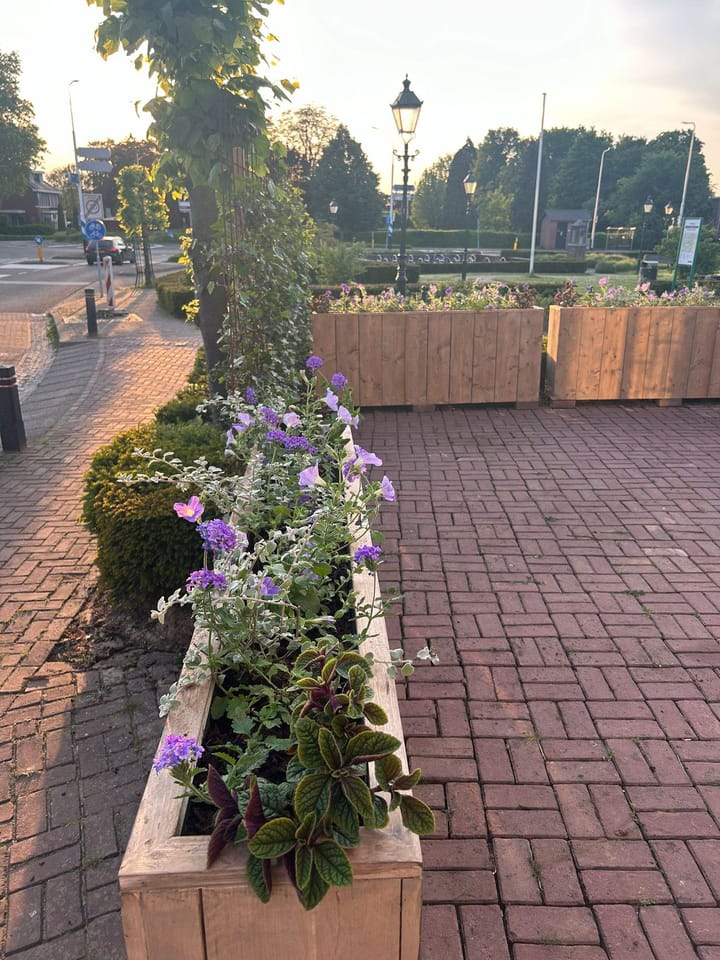 Foto 35 van Markt 15-B