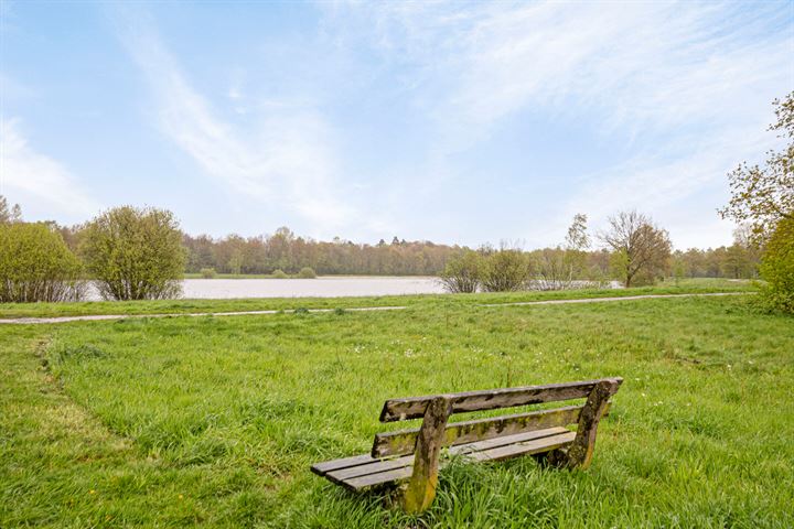 Bekijk foto 44 van Witterzomer 36