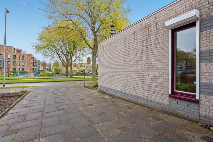 Bekijk foto 26 van Edelsteensingel 101