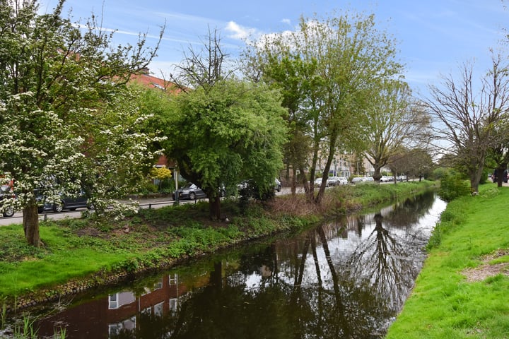 Bekijk foto 30 van Laan van Meerdervoort 1417