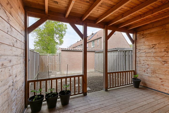 Foto 4 van Koolmees 60