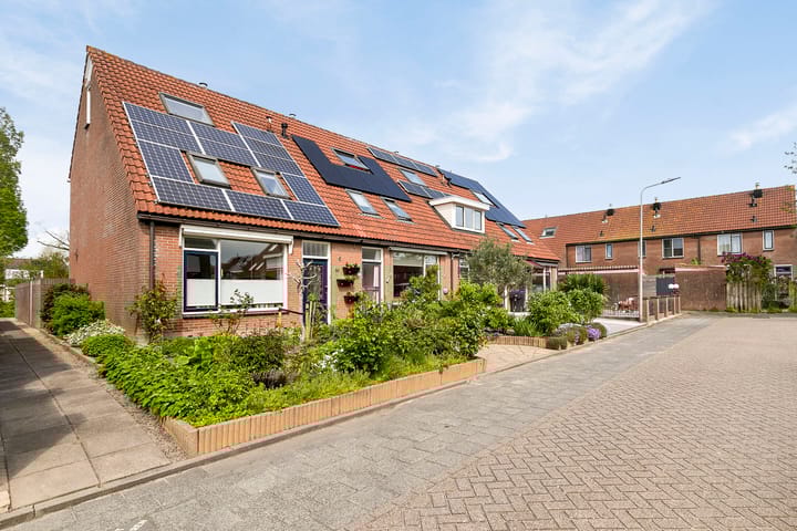 Foto 6 van Koolmees 60