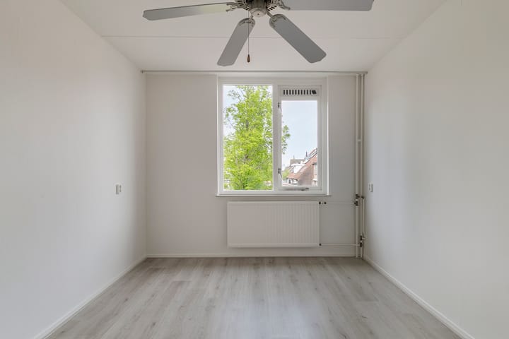 Foto 17 van Koolmees 60