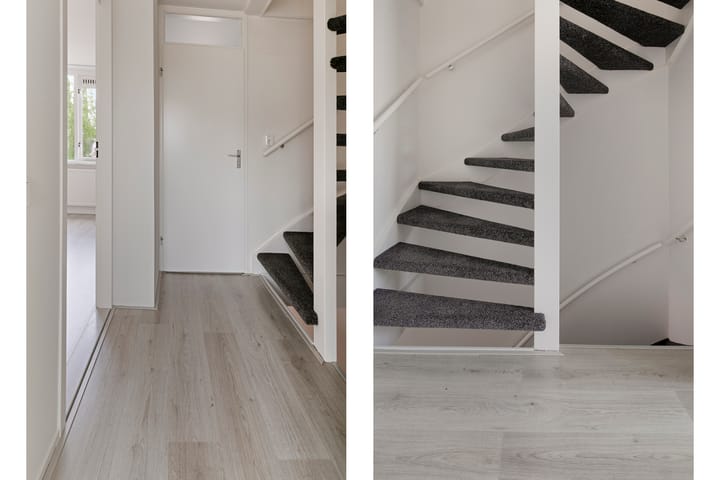 Foto 19 van Koolmees 60