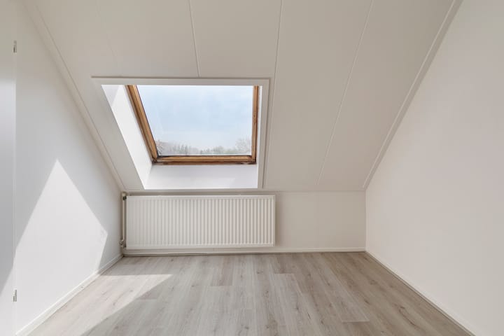 Foto 21 van Koolmees 60