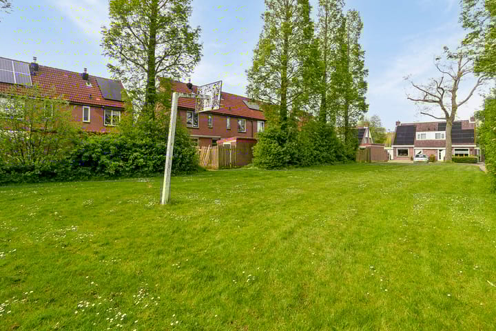 Foto 24 van Koolmees 60