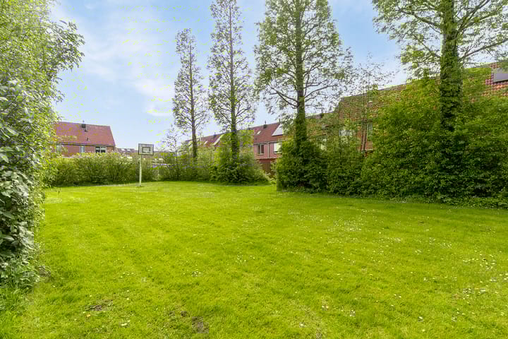 Foto 26 van Koolmees 60