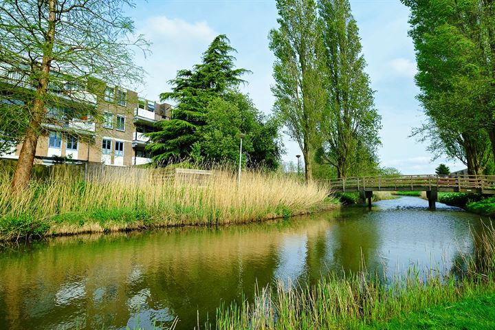 Bekijk foto 19 van Soesterberghof 53