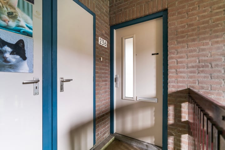 Bekijk foto 4 van Zuiderstraat 236