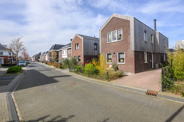 Zeepkruidstraat thumbnail