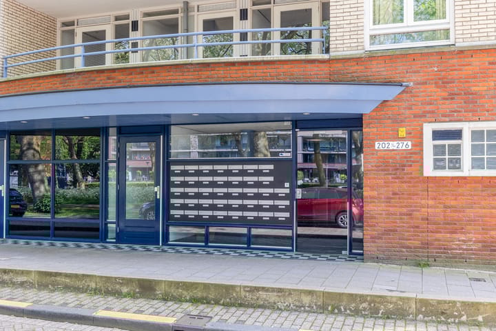 Foto 7 van Prinsenlaan 244