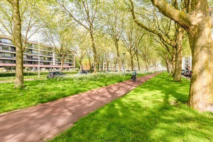 Foto 24 van Prinsenlaan 244