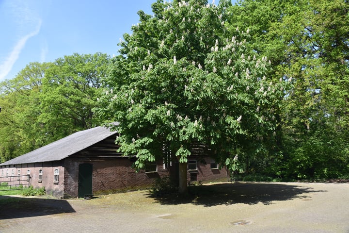 View photo 31 of Koekendijk 41