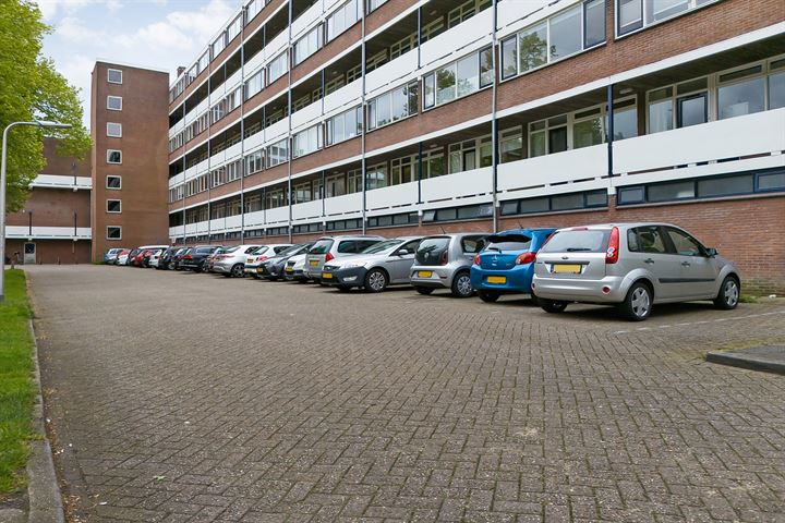 Bekijk foto 4 van Obrechtstraat 261