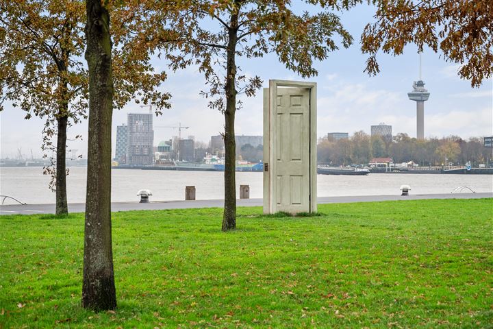 Bekijk foto 51 van Landverhuizersplein 97