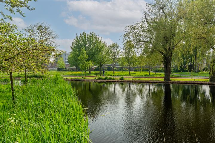 Bekijk foto 41 van Boomberg 141