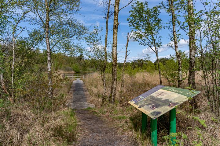 Bekijk foto 36 van Delleburen 1