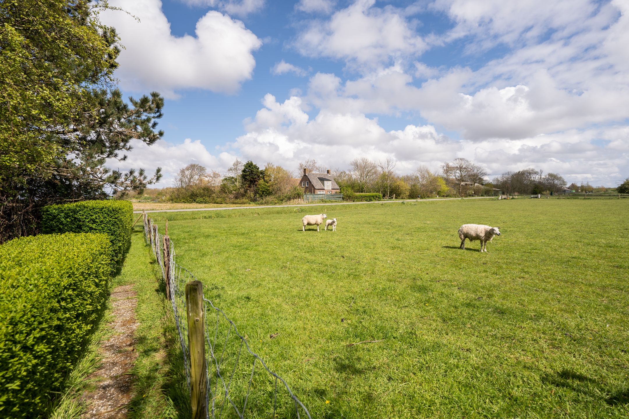 Foto 9 van Stuifweg 107