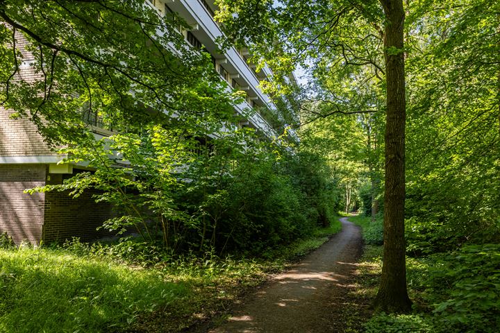 Bekijk foto 31 van Planetenlaan 285