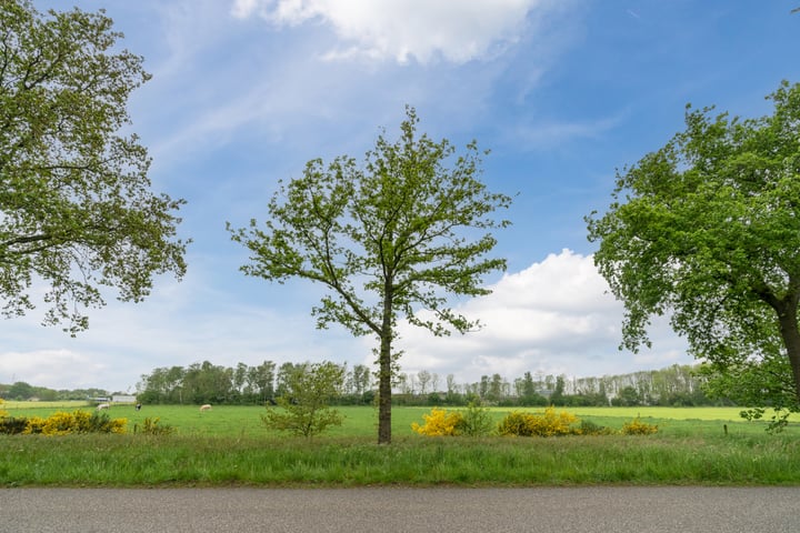 Bekijk foto 73 van Zuidwoldigerweg 51