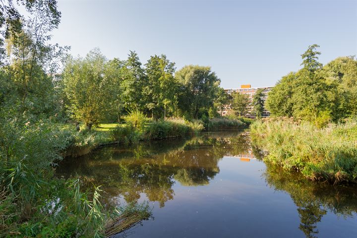 Bekijk foto 30 van Engelenburg 105