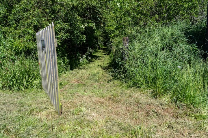 Foto 2 van Schilderweg 215-BIJ